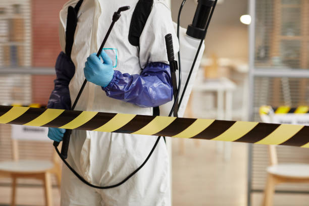 Professional Sewage Cleanup technician working in Byron, MN
